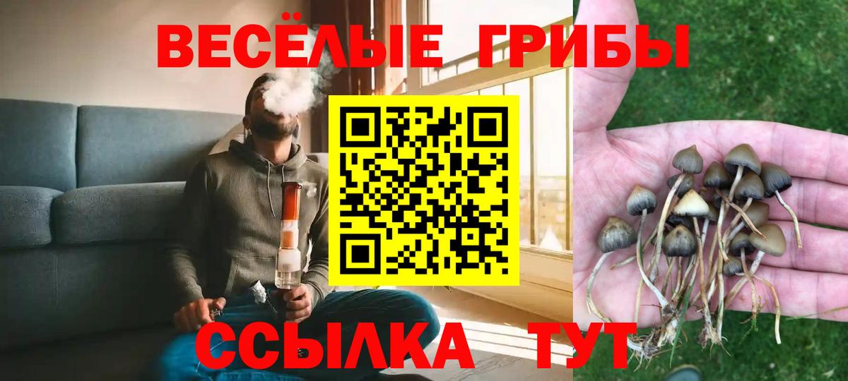 купить наркоту  Вход с VPN  Карпинск  Галлюциногенные грибы GOLDEN TEACHER 
