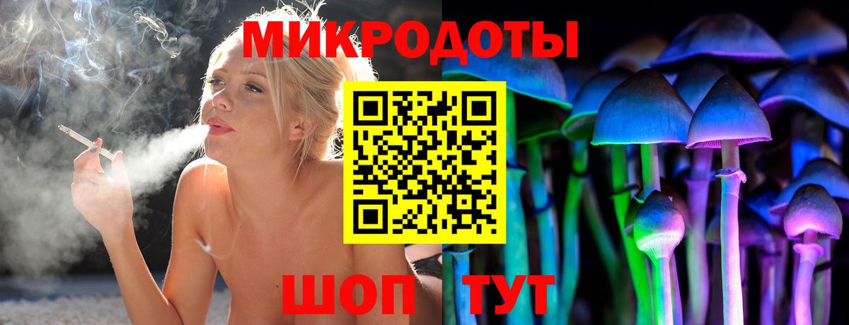 Псилоцибиновые грибы Psilocybine cubensis Карпинск
